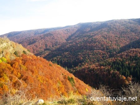 Sierra de Abodi, Selva de Irati.